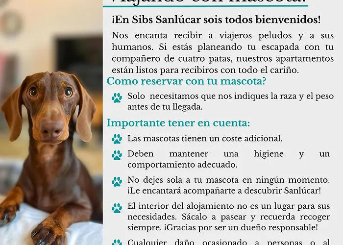 SIBS PILETAS - 1ª Linea Playa-Piscina-Padel